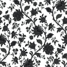 Seamless pattern with flowers of Frangipani N12
