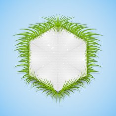 Realistic herbal banner for your design N6
