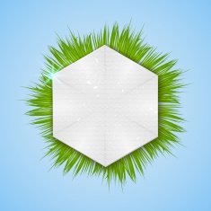 Realistic herbal banner for your design N7