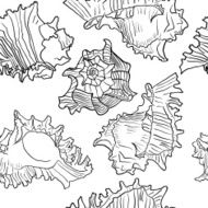Seamless marine pattern with sea shells