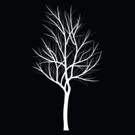 Trees with dead branch N76