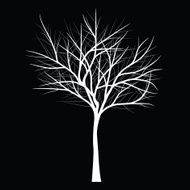 Trees with dead branch N77