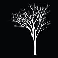Trees with dead branch N78