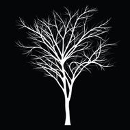 Trees with dead branch N79