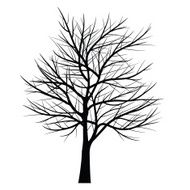 Trees with dead branch N80