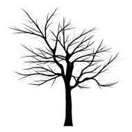 Trees with dead branch N81
