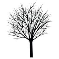 Trees with dead branch N94