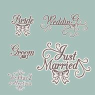 Wedding collection Bride Groom Invitation