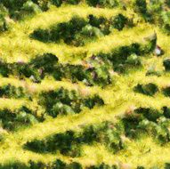 Yellow green stripe seamless pattern texture oil painting