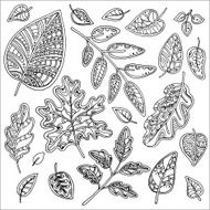 vector set of leaves N5