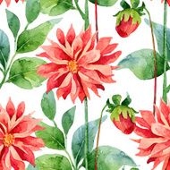 Dahlias