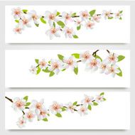Three sakura branches banners Vector