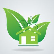 Green eco friendly N3