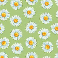 Floral seamless pattern with daisies