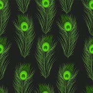 Vector seamless pattern peacock feathers N3