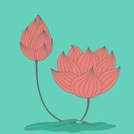 Lotus Flower Vector N5