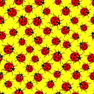 Ladybug pattern