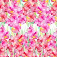 Gladiolus Floral pattern N2
