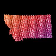 Montana Map Triangle Pattern Orange