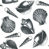 Vintage background with sea shells