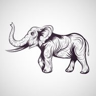 Elephant vector