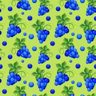 Vector seamless background with bright fresh juicy grapes N2