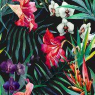 tropical pattern N33