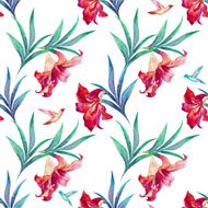 tropical pattern N34
