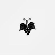 Black silhouette of grapes N2