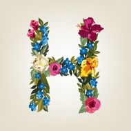 H letter Flower capital alphabet Colorful font Uppercase