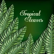 Tropical leaves design