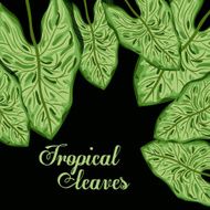 Tropical leaves design N2