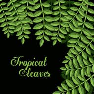 Tropical leaves design N3