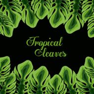 Tropical leaves design N4