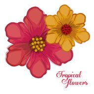 Tropical flowers design N2