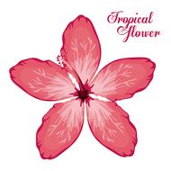 Tropical flowers design N3