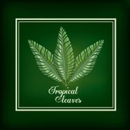 Tropical leaves design N5