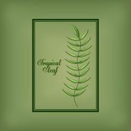 Tropical leaves design N6