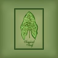 Tropical leaves design N7
