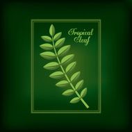 Tropical leaves design N8