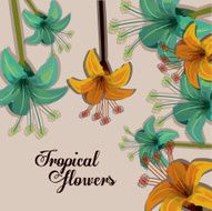 Tropical flowers design N4