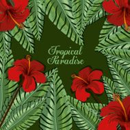 Tropical flowers design N5