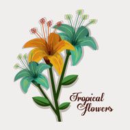 Tropical flowers design N6