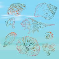 Seashells set on the blurred background vector illustration