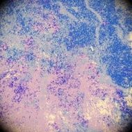 Grunge abstract background N1208
