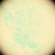 Grunge abstract background N1215
