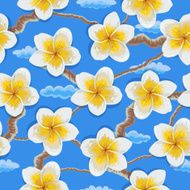 Tropical flowers plumeria pattern