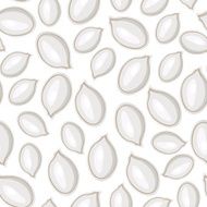 White pumpkins seeds pattern seamless