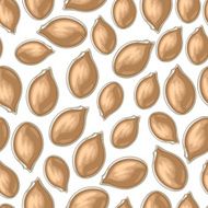 Pumpkins seeds pattern seamless