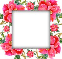 Watercolor flower frame on white background N29